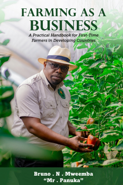 Farming as a Business book cover by Bruno N. Mweemba