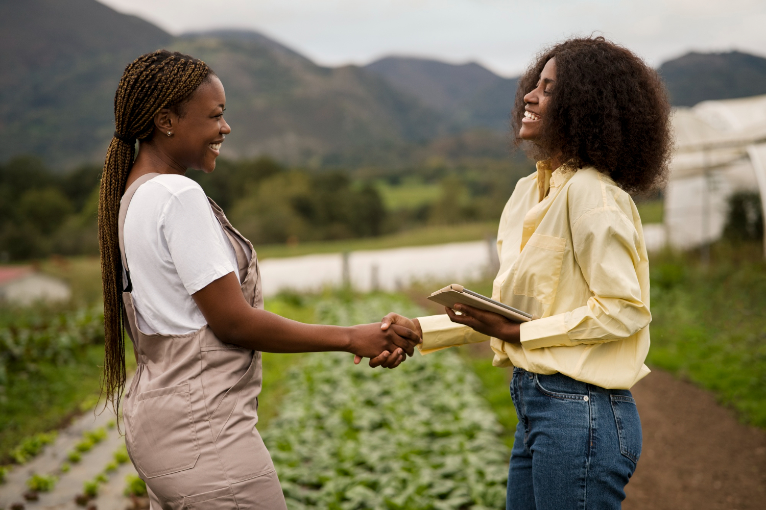Agricultural partners collaborating in the field